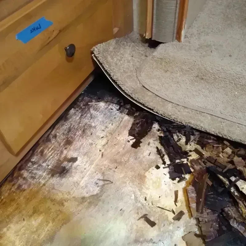 Wood Floor Water Damage in West Freehold, NJ